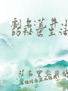 剧名:荒井小姐的秘密生活在线观看