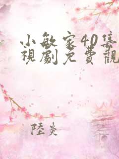 小敏家40集电视剧免费观看
