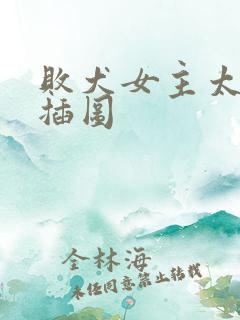 败犬女主太多了插图