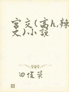 宫交(高h,辣文)小说