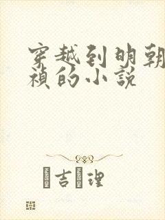 穿越到明朝当崇祯的小说