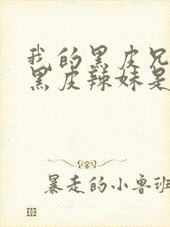 我的黑皮兄弟变黑皮辣妹是第几集