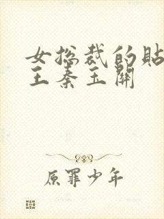 女总裁的贴身兵王秦玉关