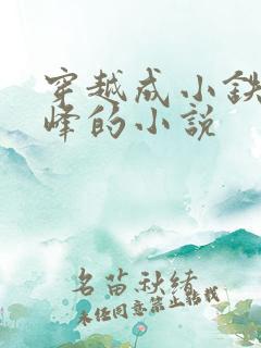 穿越成小铁匠金峰的小说