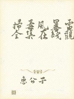 扫毒风暴电视剧全集在线观看免费