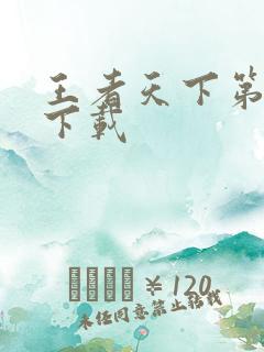 王者天下第三季下载