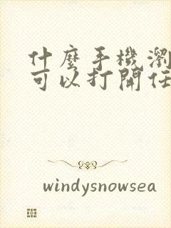 什么手机浏览器可以打开任何网站