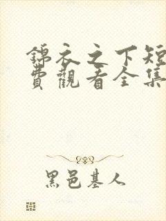 锦衣之下短剧免费观看全集