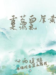 舌苔白厚黄是不是湿气