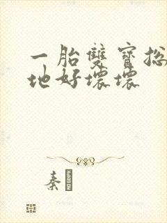 一胎双宝总裁爹地好坏坏