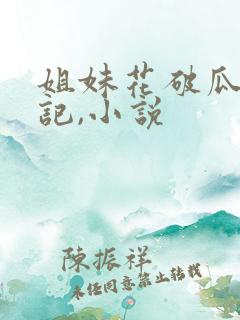 姐妹花破瓜双飞记,小说