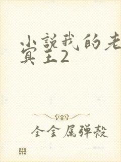 小说我的老公是冥王2