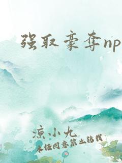 强取豪夺np文