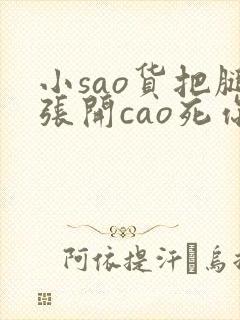 小sao货把腿张开cao死你小说