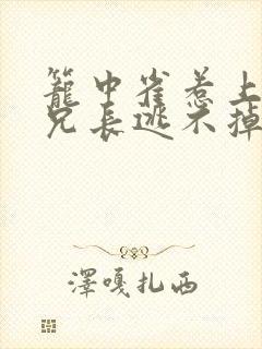 笼中雀惹上偏执兄长逃不掉小说免费阅读