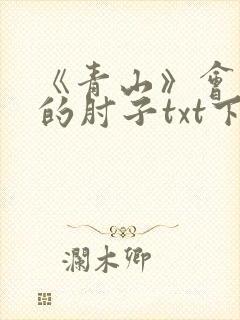 《青山》会说话的肘子txt下载