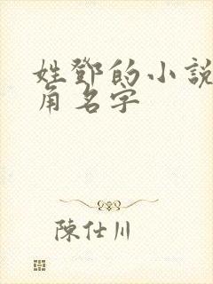 姓邓的小说男主角名字