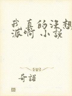 我真的没想当反派啊 小说