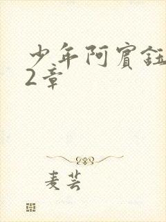 少年阿宾钰慧12章