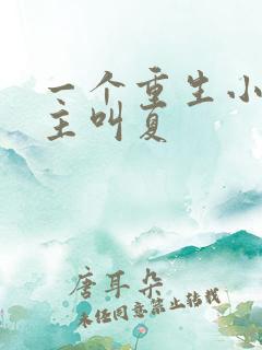 一个重生小说女主叫夏