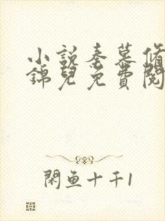 小说秦慕修和赵锦儿免费阅读