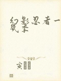 幻影忍者一共有几季