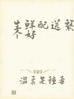 生鲜配送系统哪个好