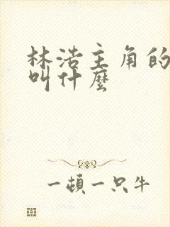 林浩主角的小说叫什么