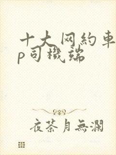 十大网约车app司机端