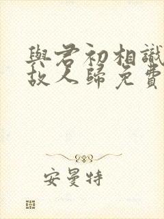 与君初相识犹如故人归免费在线观看