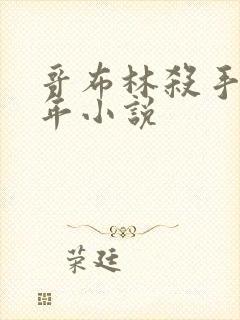 哥布林杀手第一年小说