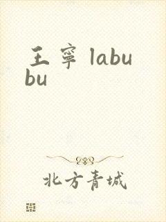 王宁 labubu