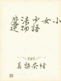 魔法少女小圆叛逆物语