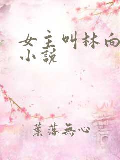 女主叫林向晚的小说