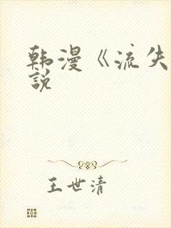 韩漫《流失》小说