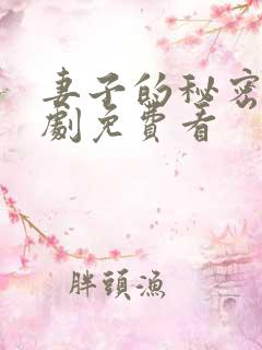 妻子的秘密电视剧免费看