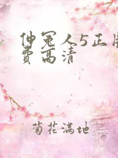 伸冤人5正版免费高清