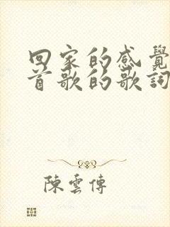 回家的感觉是哪首歌的歌词