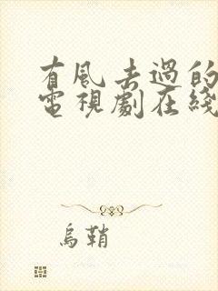 有风去过的地方电视剧在线观看