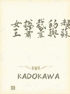 女总裁的超级兵王萧晨与苏晴