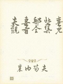 夫妻那些事在线观看全集免费播放电视剧