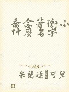 乔念萧衡小说叫什么名字