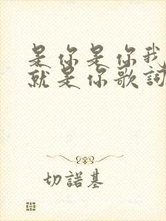 是你是你我爱的就是你歌词是什么歌