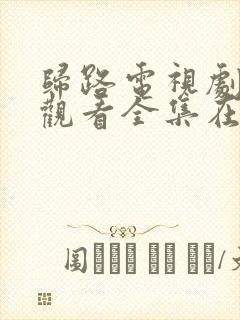 归路电视剧免费观看全集在线播放