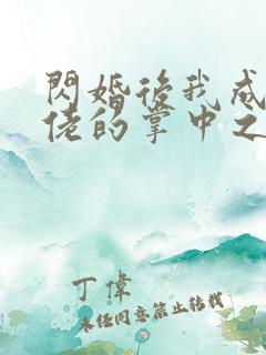 闪婚后我成了大佬的掌中之物无删减