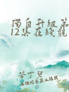 独自升级第二季12集在线观看