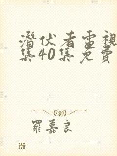 潜伏者电视剧全集40集免费观看潜伏