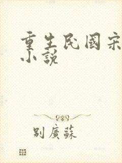 重生民国宋家的小说