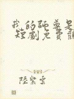 我的师尊是女帝 短剧免费观看