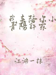 我来陪你小说贺青阳许霖